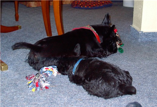 Ich als Baby mit Luzi im Wohnzimmer